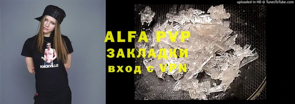 дживик Верхний Тагил