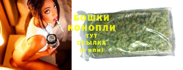 прущие грибы Семикаракорск