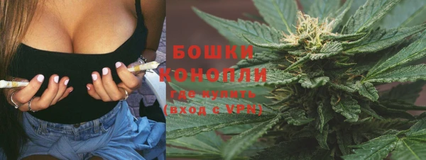 дживик Верхний Тагил