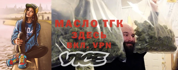 дживик Верхний Тагил